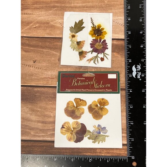 SET OF 2 Darice Botanical Stickers Pressed & Dried Real Flowers EMBELLISHMENT - Picture 1 of 4